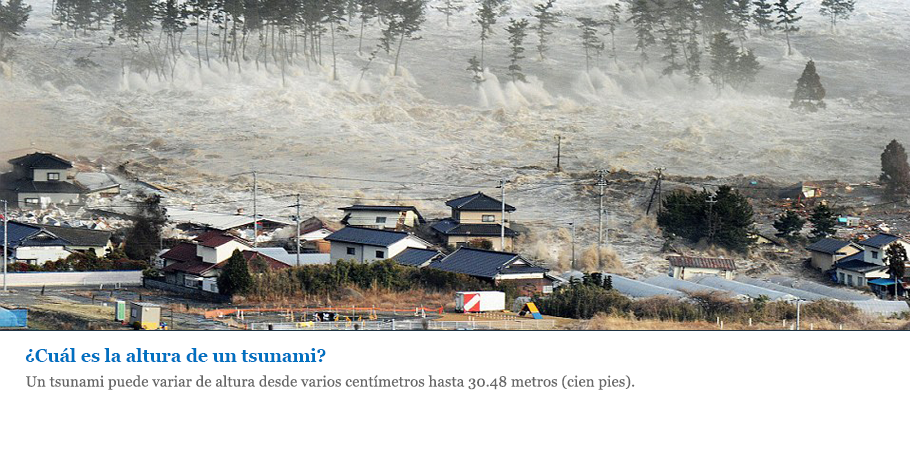 Un tsunami puede variar de altura desde varios cent�metros hasta 30.48 metros (cien pies).